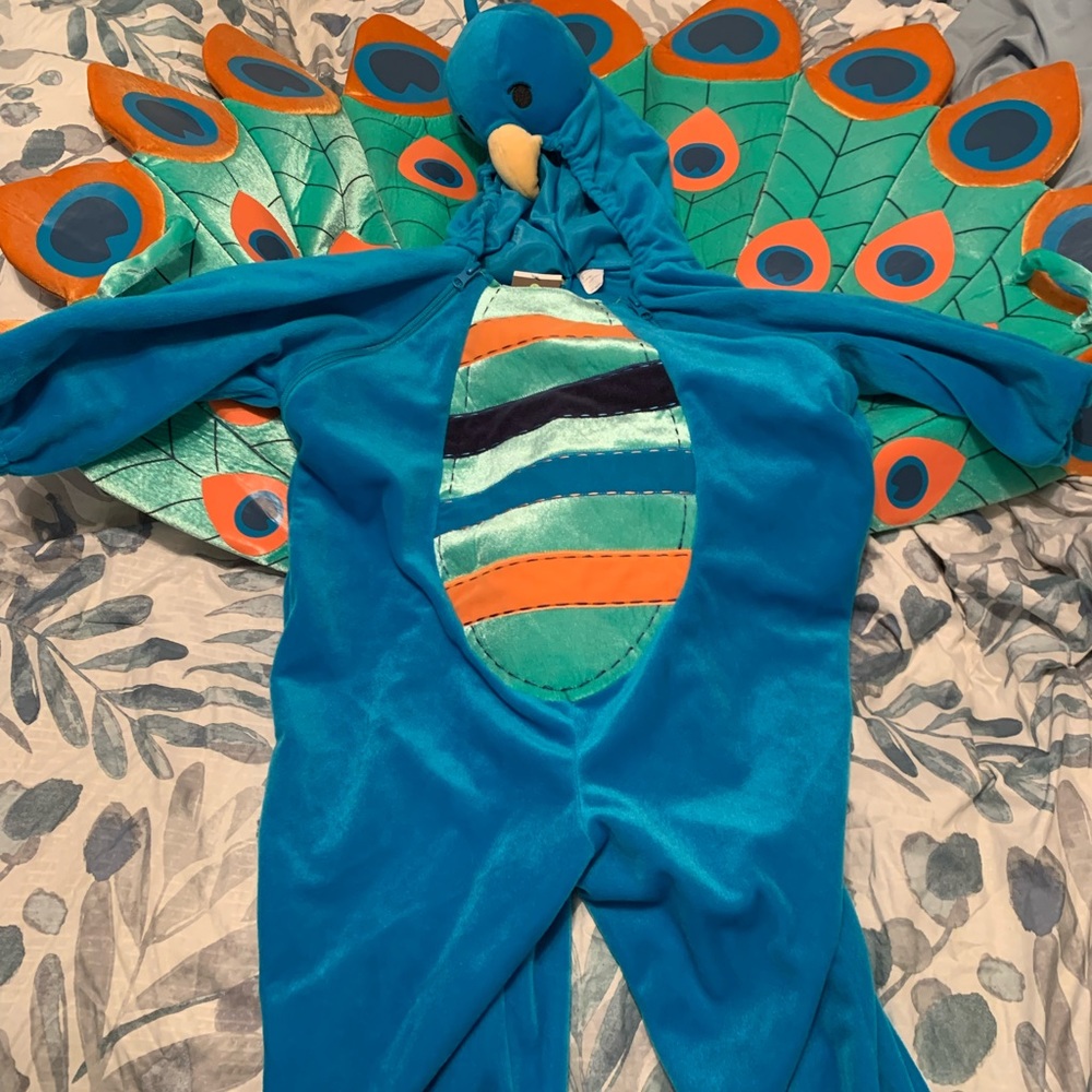 NWT Size 2T-3T Peacock Halloween Costume.